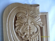 Janus